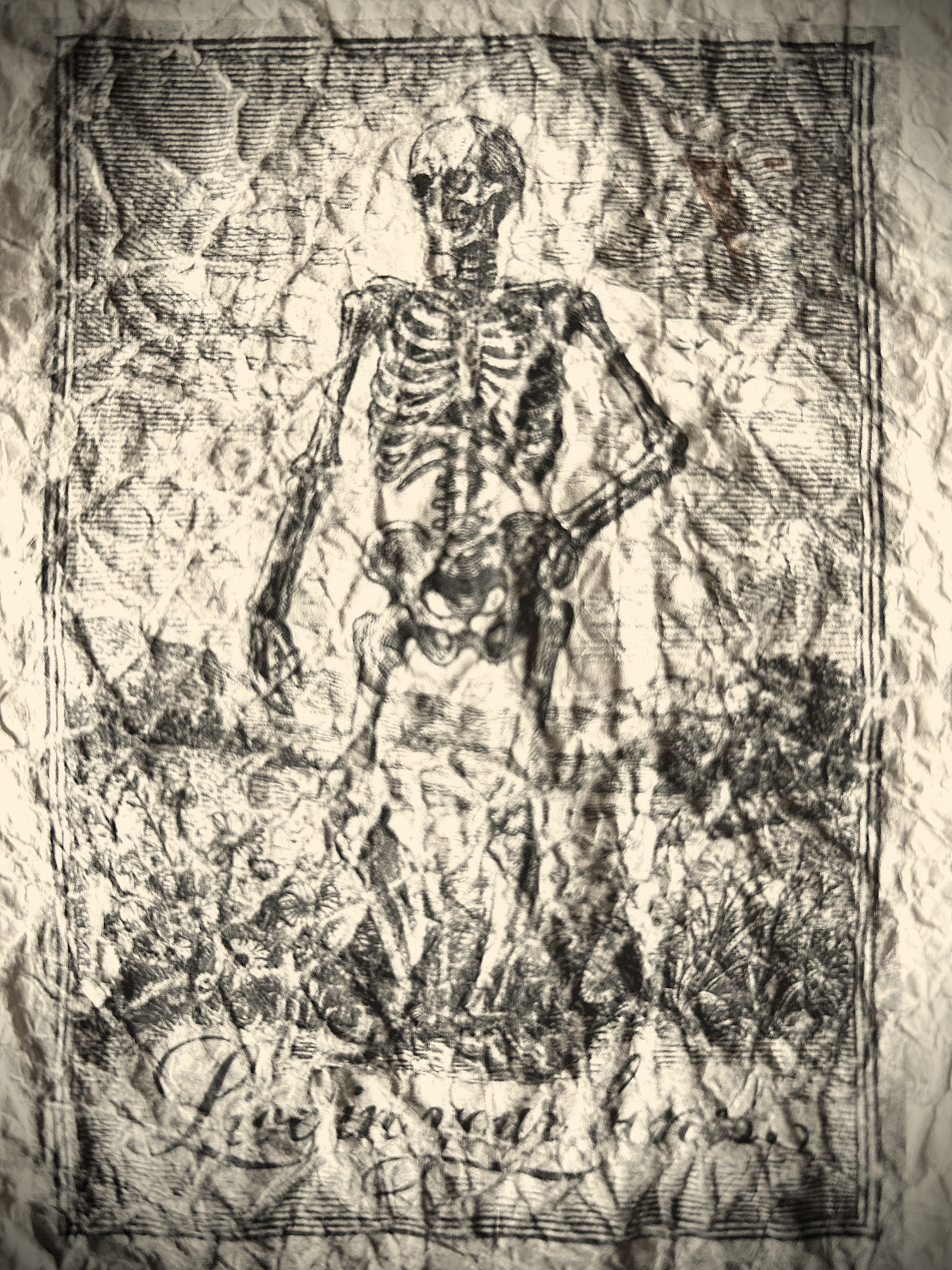 Black-and-white illustration of a standing human skeleton in a natural landscape, hands on hips, with the handwritten script “Live in your bones” beneath the figure.